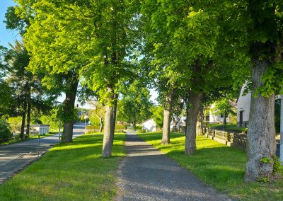 Friedhof Oberelsungen 2