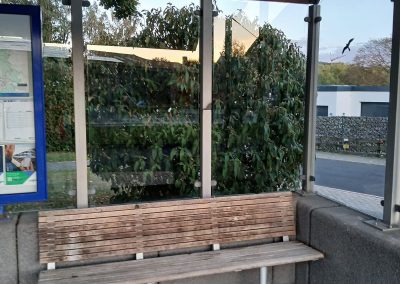 Zimmerplatz putzen 1250 Jahre Oberelsungen 4